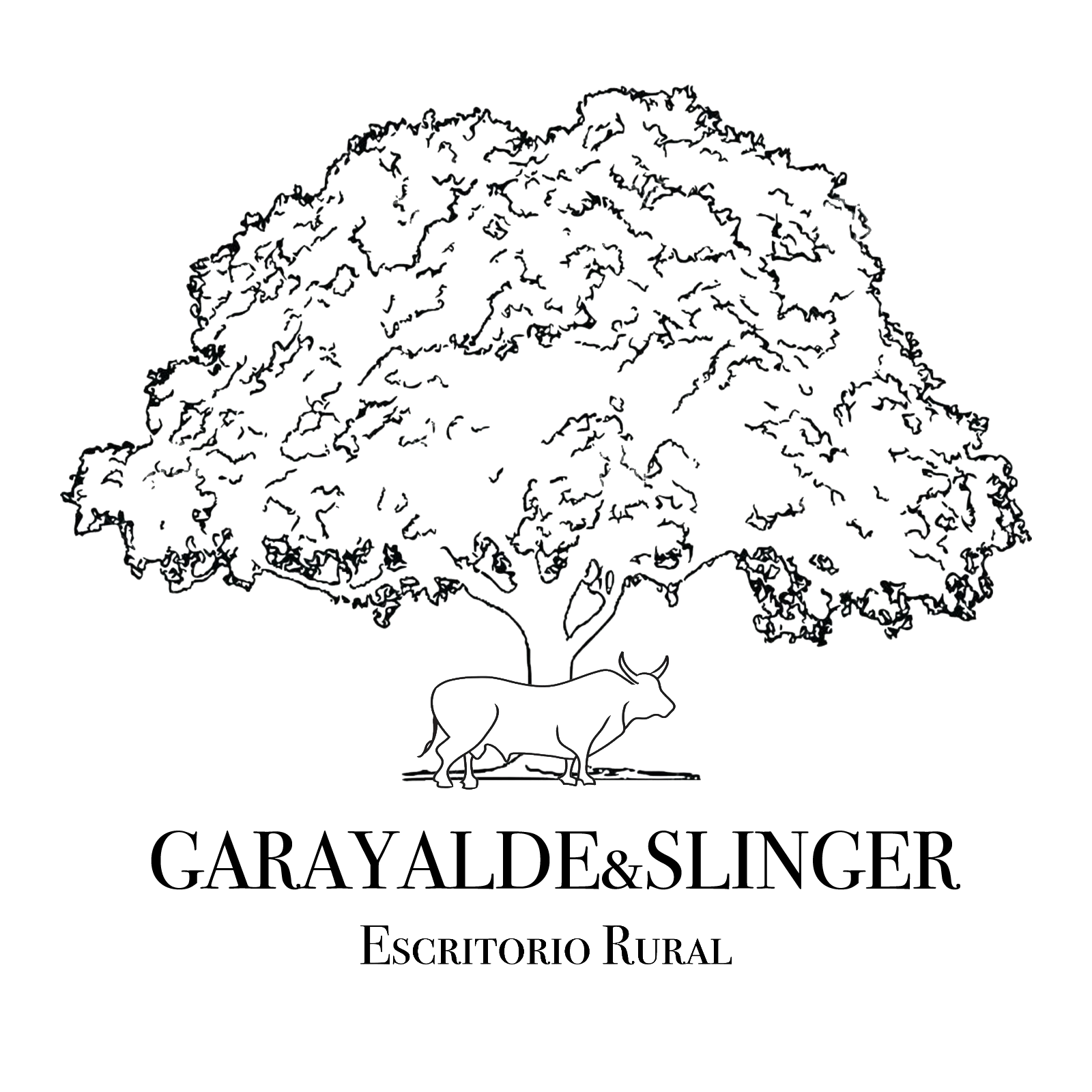 GYS Agronegocios logo